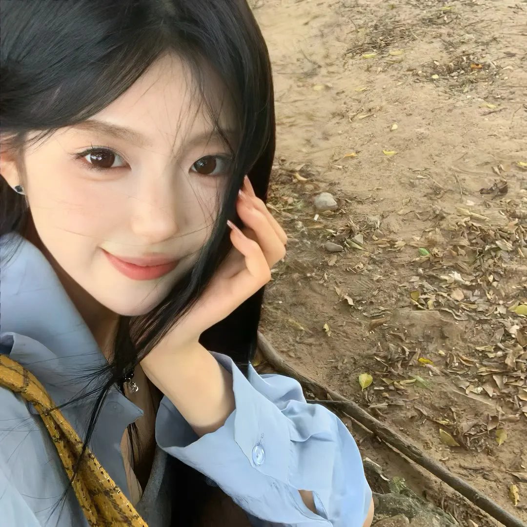 爱是一只猫